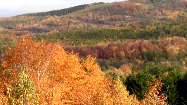 丸加高原展望台から見える紅葉風景