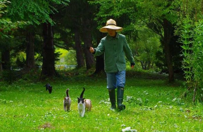 北海道中富良野にある北海道風景画館の奥田修一さんと猫