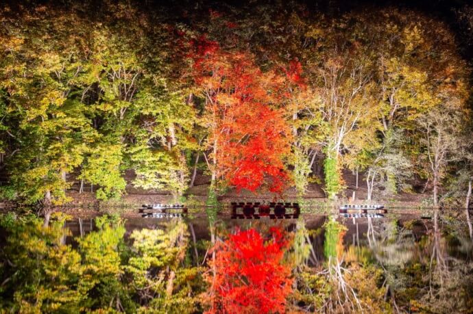 八郎沼公園で実施する紅葉のライトアップイベント「北斗紅葉回廊」の様子