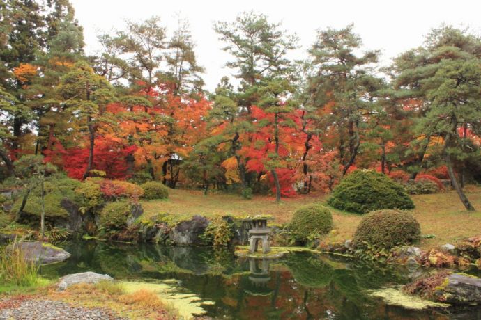 紅葉の季節の日本庭園