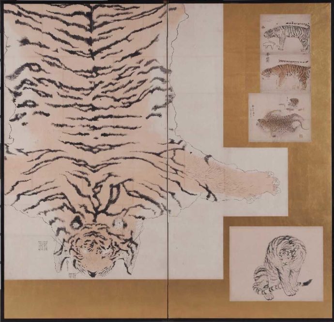本間美術館が所蔵している円山応挙の虎皮写生図