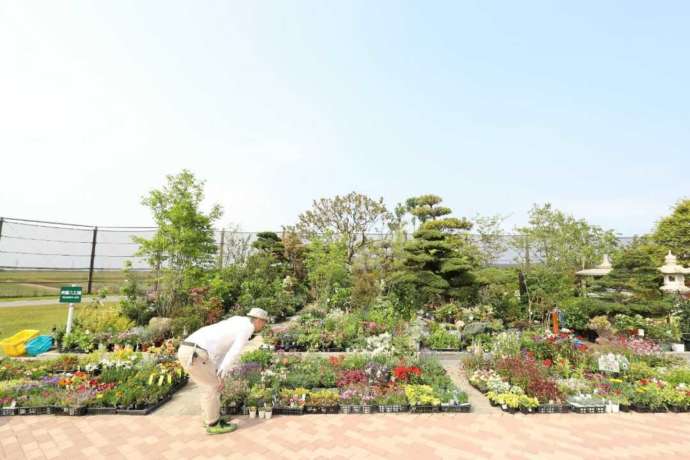 新潟県三条市にある道の駅「庭園の郷保内」には花がいっぱい