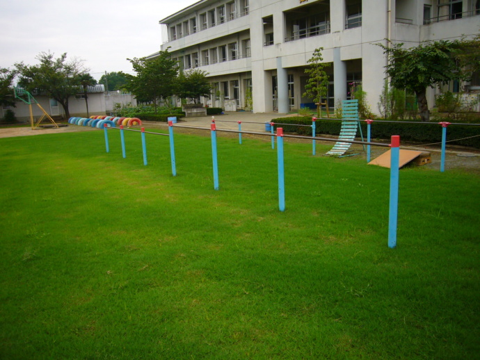芝生化された小学校の校庭