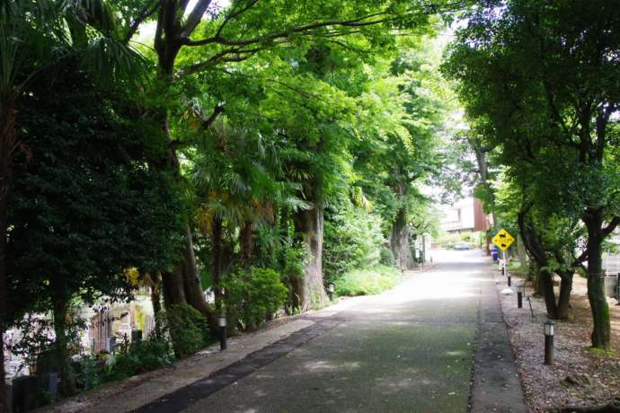 本立寺の夏の参道