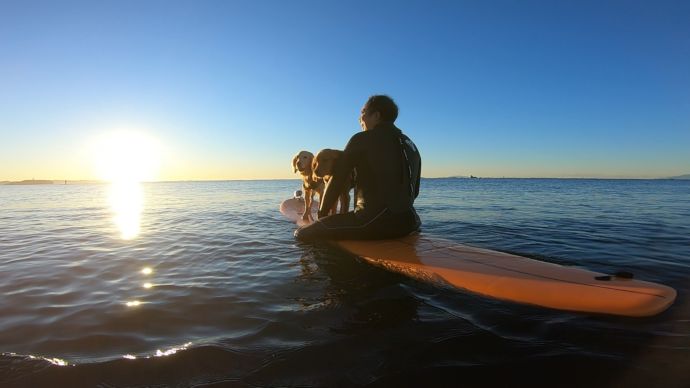 神奈川県茅ヶ崎市の「Hosoii Surf&Sports」で犬とサーフィンをしている女性