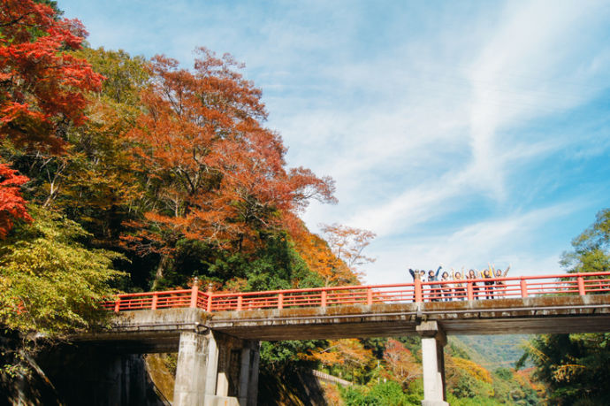 岡山県井原市にある天神峡の紅葉