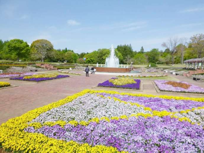 茨城県那珂市にある茨城県植物園の沈床園を引きで眺める