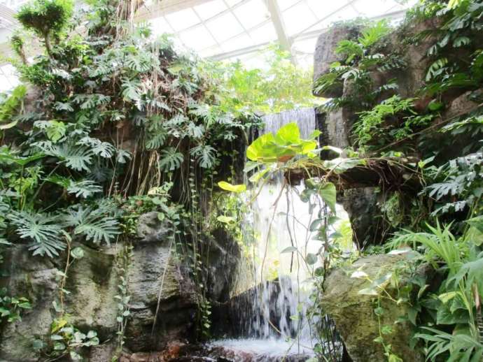 茨城県那珂市の茨城県植物園にある熱帯植物館の滝