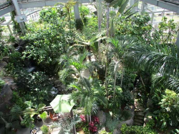 茨城県那珂市の茨城県植物園内にある熱帯植物館の展望スペースからの眺め