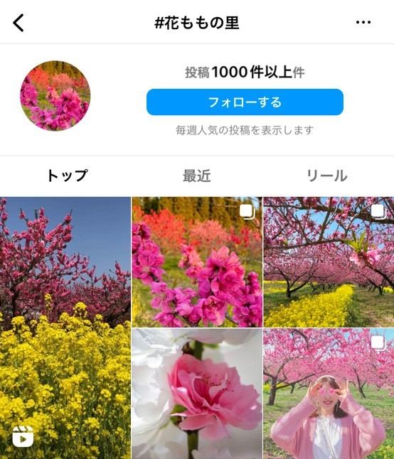Instagramに投稿された花ももの里の写真
