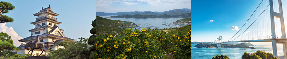 愛媛県の特徴イメージ画像