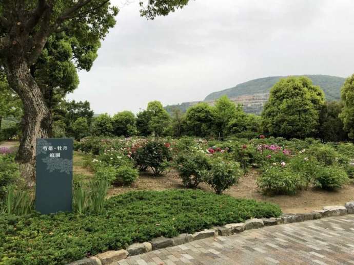 中村美術館の庭園