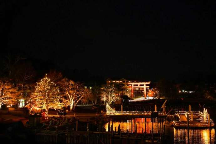 「ライトアップ奥日光」プロジェクトの一環「中禅寺湖畔イルミネーション」の一コマ（その2）