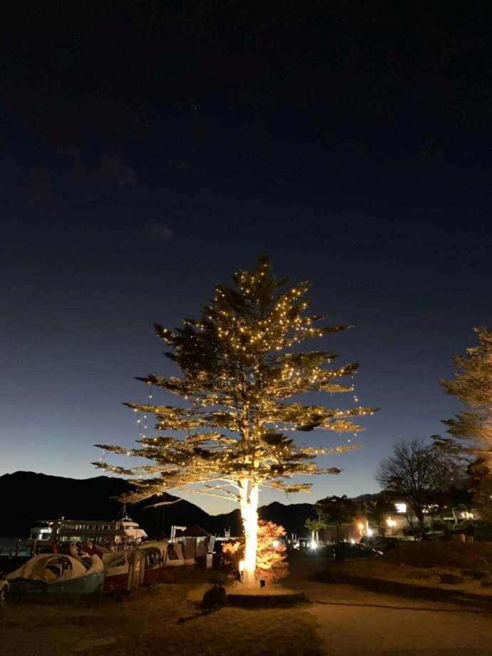 「ライトアップ奥日光」プロジェクトの一環「中禅寺湖畔イルミネーション」で電飾された「モミの木」