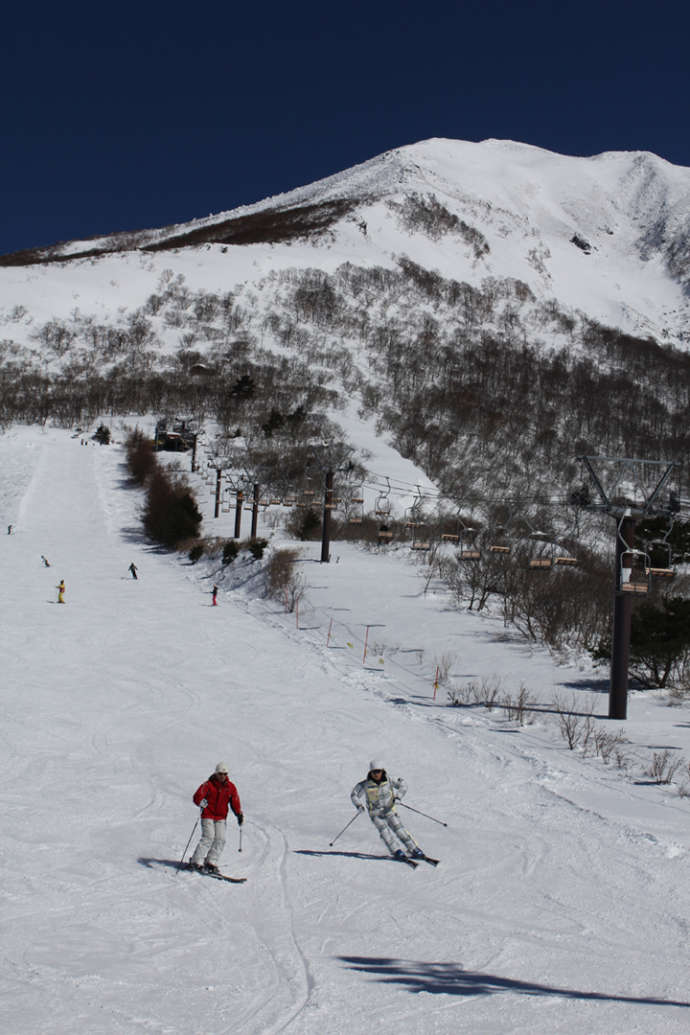 ゲレンデでスキーを楽しむ人々
