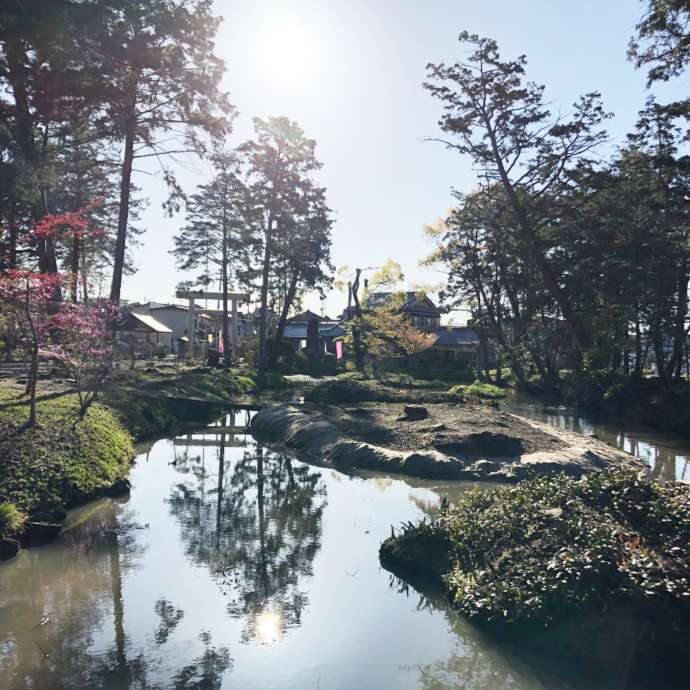 伊奈冨神社の境内にある七島池