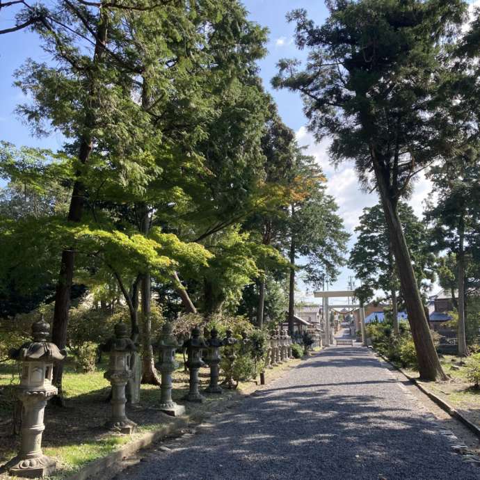 伊奈冨神社の参道