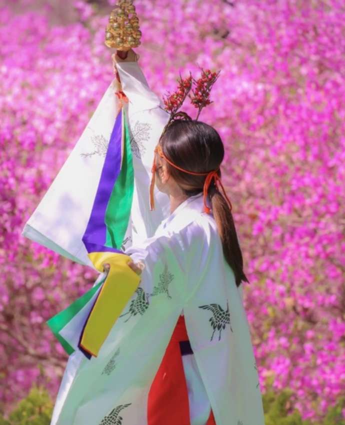 伊奈冨神社の紫ツツジに囲まれて舞う巫女