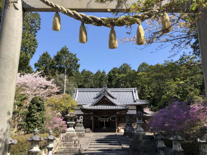 伊奈冨神社の正面鳥居から見た外観
