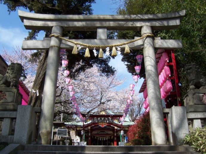 居木神社の見どころ