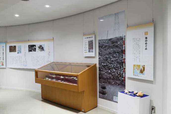 「一色学びの館」2階の常設展示コーナーの様子（その4）市内で発掘された貝塚や遺跡