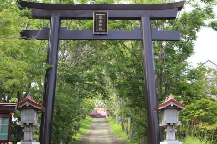 結婚式以外で厳島神社を訪れた場合の見どころやオススメなどはありますか？