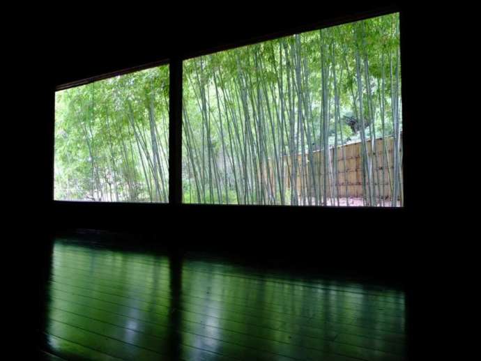 「若州一滴文庫」のくるま椅子劇場内部の竹林を借景とした舞台