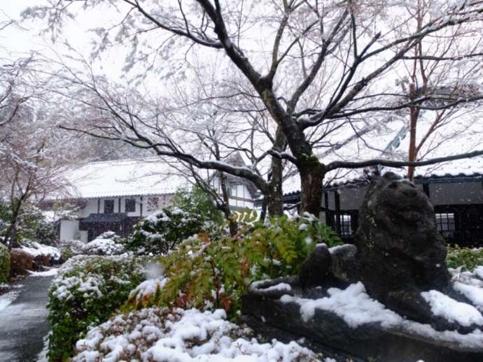 雪景色となった「若州一滴文庫」の敷地内の様子