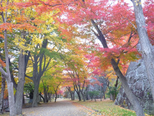 紅葉が美しい盛岡城跡公園