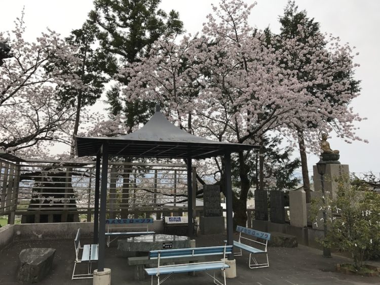 四国八十八ヶ所霊場第七番目の寺院「十楽寺」の桜の咲く境内