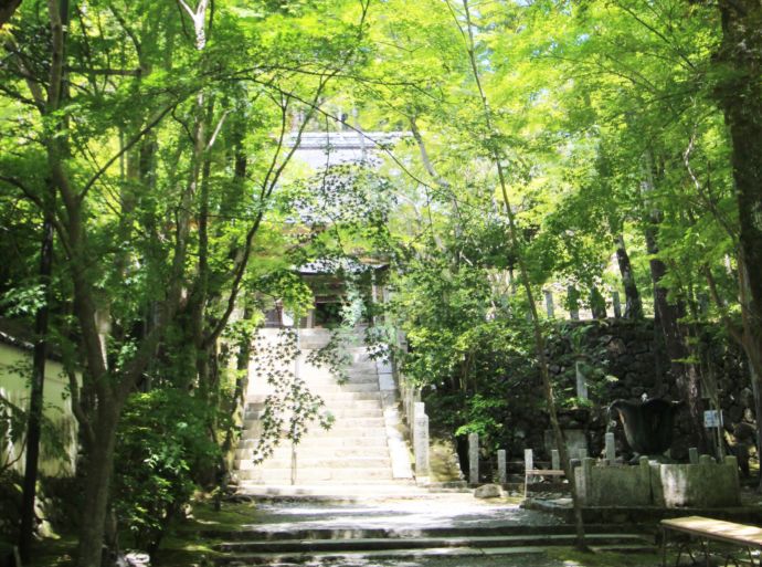 大阪府高槻市にある神峯山寺の山門から本堂方面を眺める