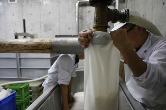 小江戸鏡山酒造で丁寧に日本酒を仕立てている蔵人たち