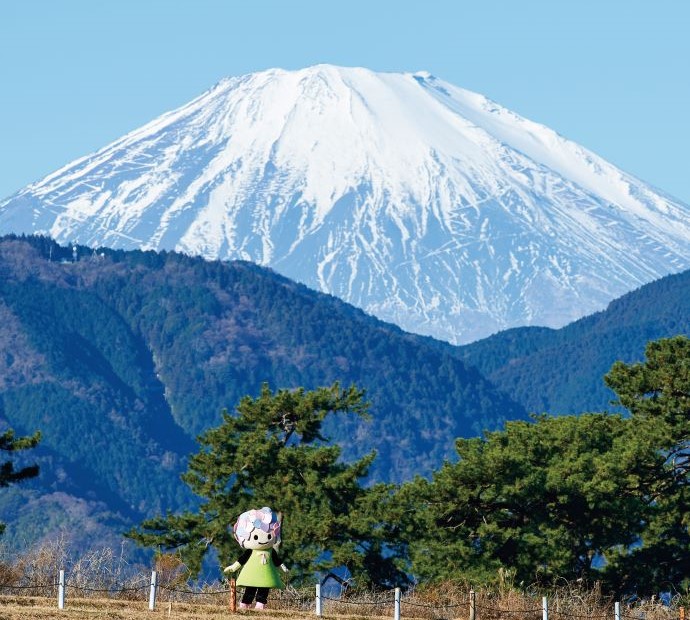 開成町内から見える富士山