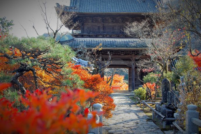 紅葉の季節の行基寺