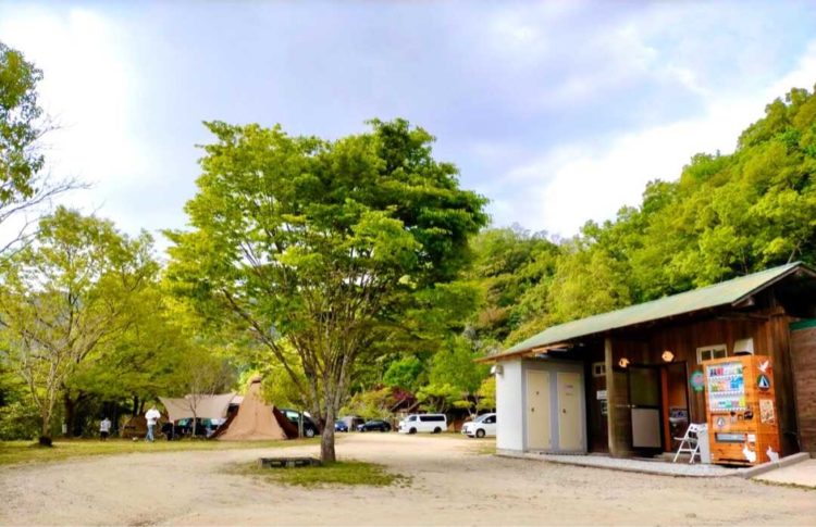 奈良県五條市にあるカルディアキャンプ場のオートサイトと木々