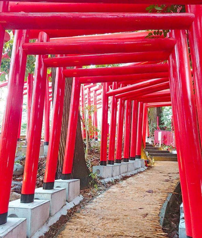 石浦神社赤い鳥居