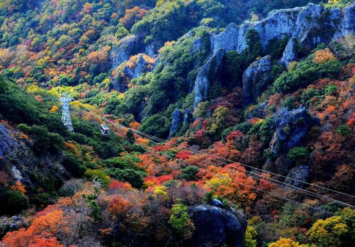 「寒霞渓ロープウェイ」沿線の秋の渓谷
