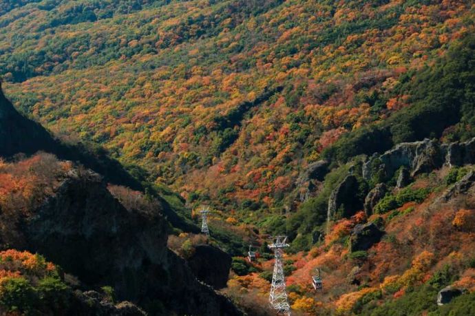 第一展望台から「寒霞渓ロープウェイ」沿線の紅葉風景