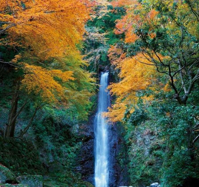 秋の養老の滝