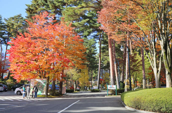 長野県伊那市にある「かんてんぱぱガーデン」の木々が紅葉する様子