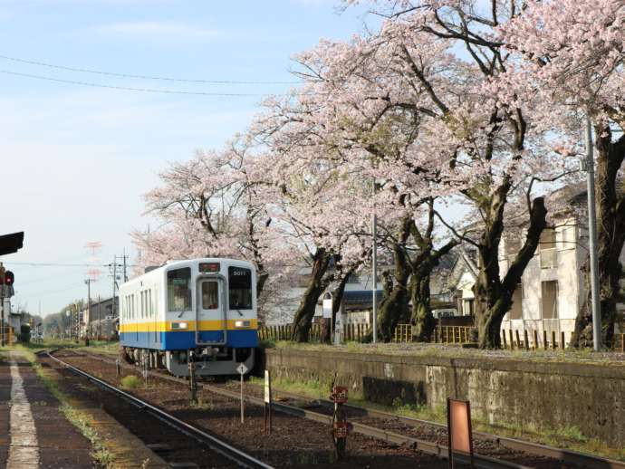 関東鉄道・常総線「黒子駅」と車輛キハ5010形