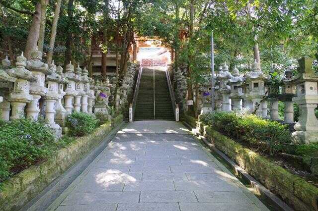 鹿嶋神社の本殿へ続く石段