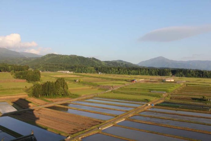 勝山城博物館から眺める田園風景