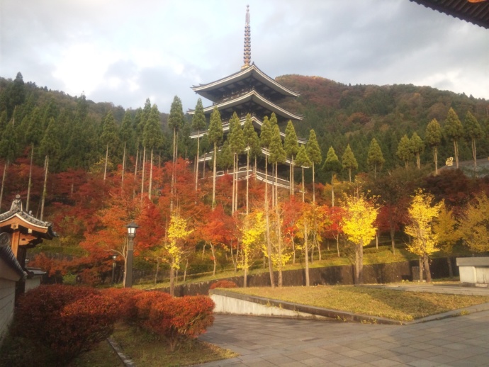 勝山市の五重塔で見られる紅葉