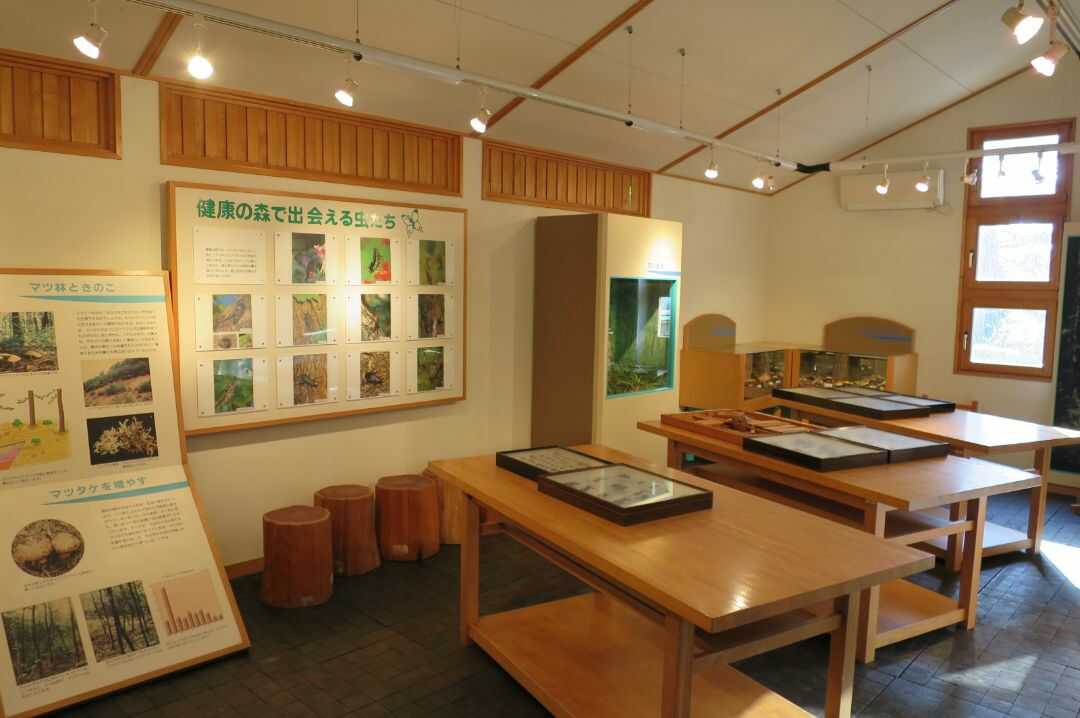 石川県健康の森オートキャンプ場に併設される森林科学館の説明ボードと卓上展示物