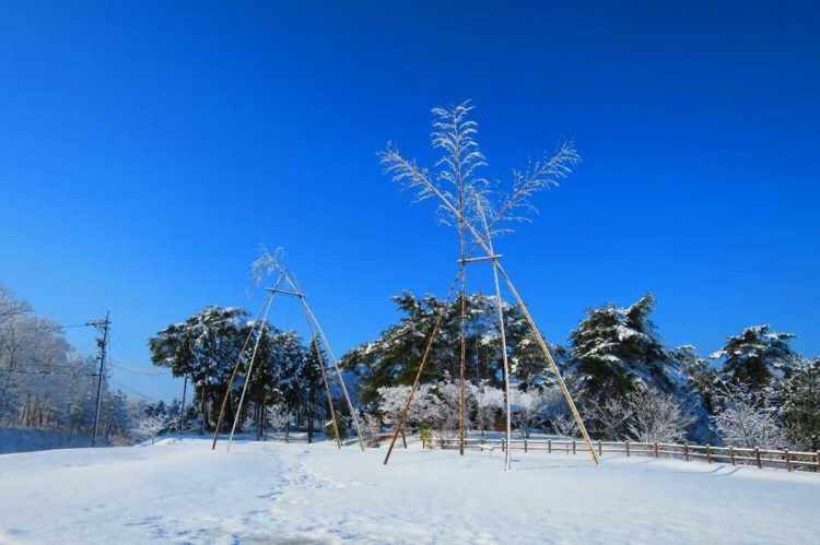 石川県健康の森オートキャンプ場のハイジのブランコと冬景色
