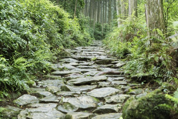 世界遺産熊野古道「馬越峠」の石畳