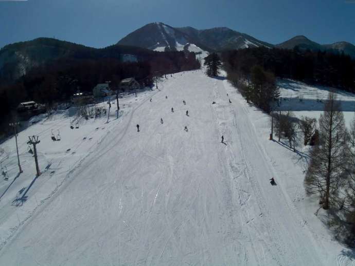 木島平スキー場のファミリーコースの写真