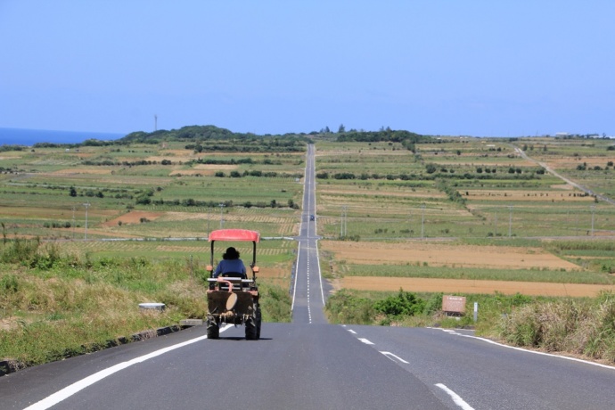 鹿児島県喜界町にあるサトウキビ畑の一本道から見える風景