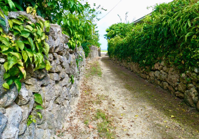 鹿児島県喜界町の阿伝集落にあるサンゴの石垣の様子